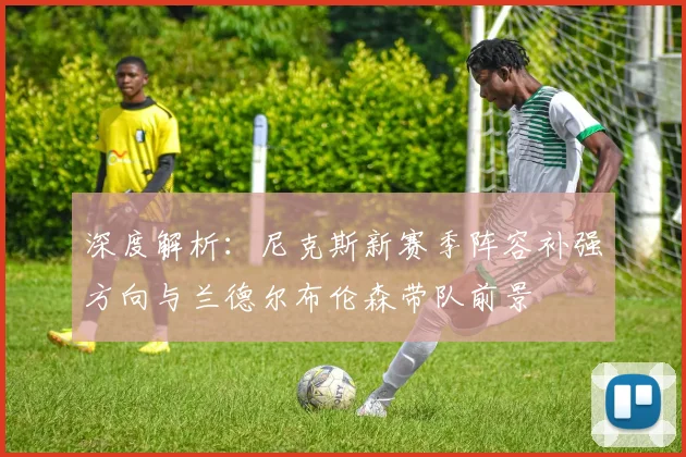 深度解析:尼克斯新赛季阵容补强方向与兰德尔布伦森带队前景